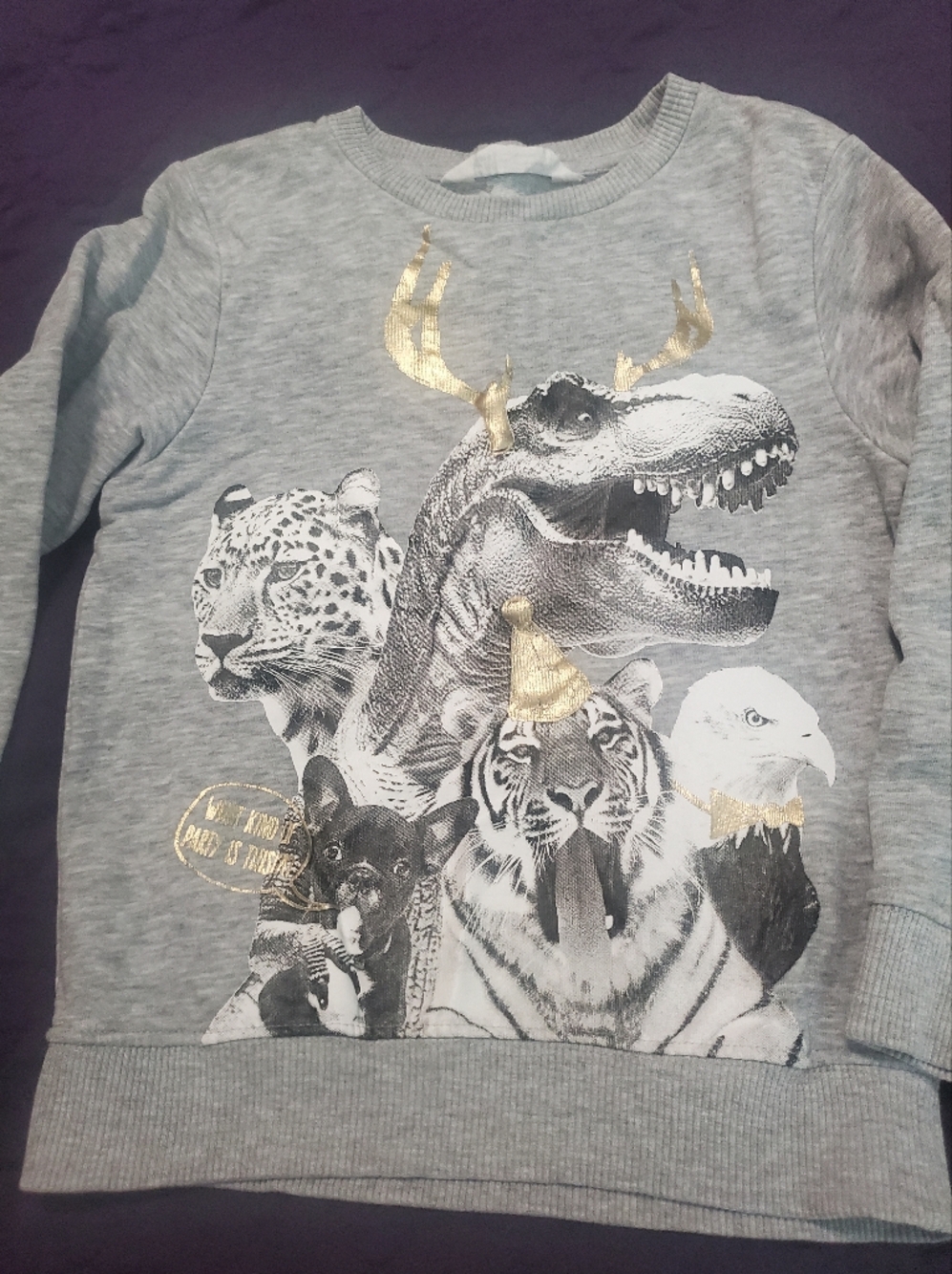 H&M Kids Gray Sweatshirt with Black Animal Print and Gold Accents